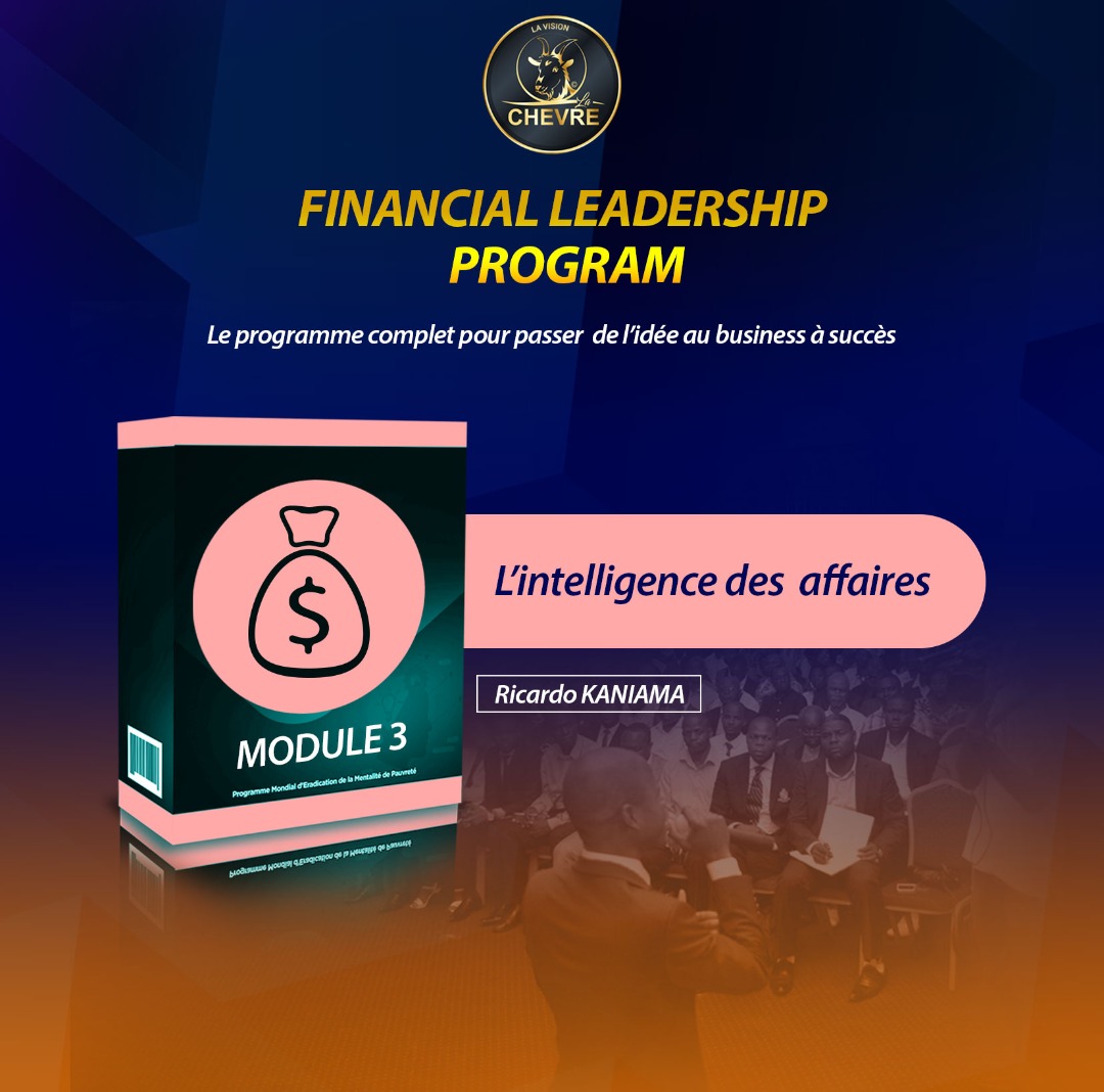 Module : Développer l’intelligence financière des affaires